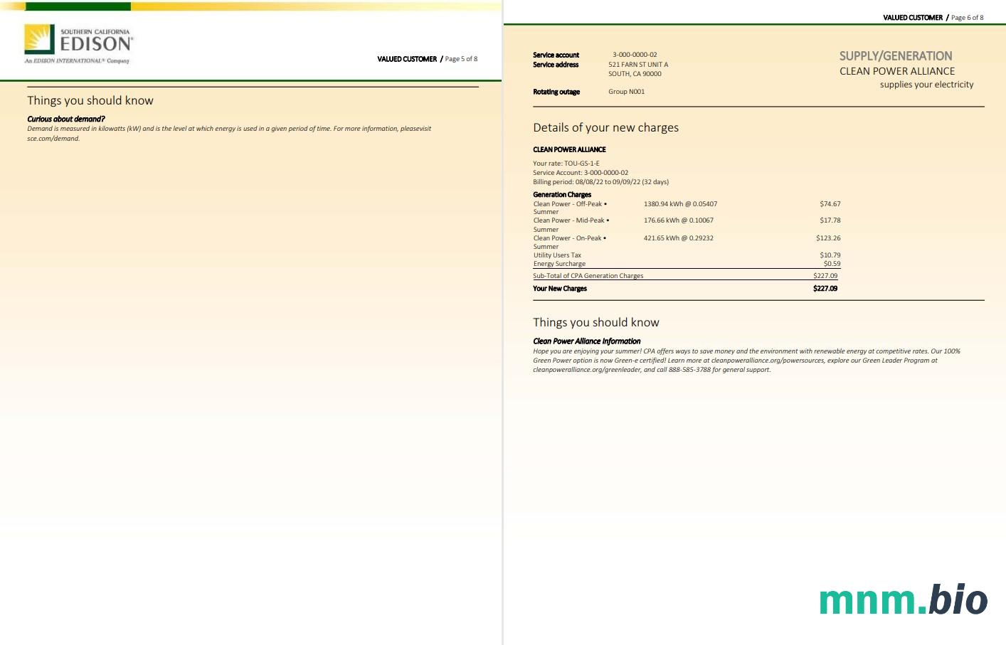 USA Southern California EDISON rachunek za media, Word i PDF template, 8 strony 5 6